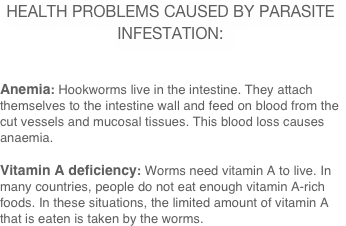 Health Problems Caused by Parasite Infestation:

Anemia: Hookworms live in the intestine. They attach themselves to the intestine wall and feed on blood from the cut vessels and mucosal tissues. This blood loss causes anaemia.

Vitamin A deficiency: Worms need vitamin A to live. In many countries, people do not eat enough vitamin A-rich foods. In these situations, the limited amount of vitamin A that is eaten is taken by the worms.

